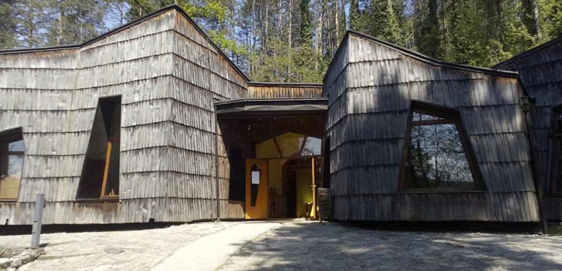 The Peace Flame House: a low building clad in wooden shingles, with slanted walls and no right angles, among trees